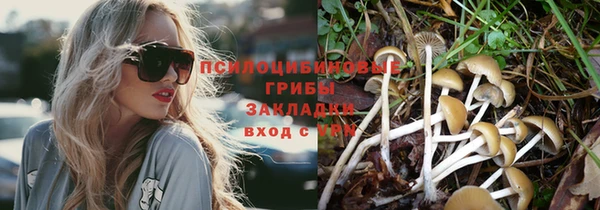 марки lsd Алексеевка