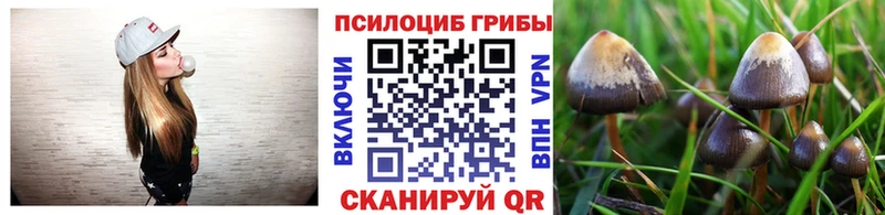 Галлюциногенные грибы Cubensis  hydra как зайти  Анапа 